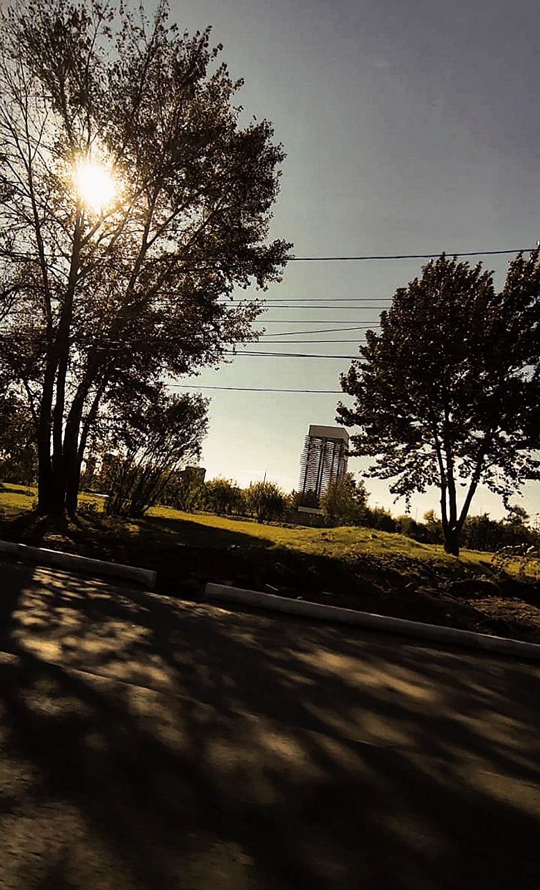 shadows on road